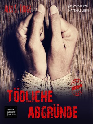 cover image of Tödliche Abgründe